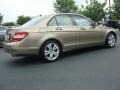 Sand Beige Metallic - C 300 Luxury Photo No. 5