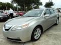 2009 Palladium Metallic Acura TL 3.5  photo #13