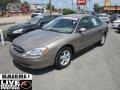 Arizona Beige Metallic - Taurus SES Photo No. 3