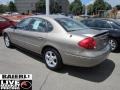 Arizona Beige Metallic - Taurus SES Photo No. 5