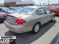Arizona Beige Metallic - Taurus SES Photo No. 7