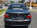 2008 Platinum Grey Metallic BMW 5 Series 528i Sedan  photo #9