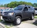 Night Armor Black Metallic - Xterra X 4x4 Photo No. 1