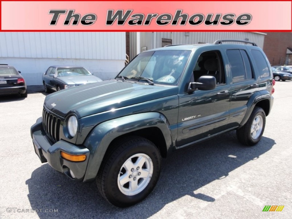 2002 Liberty Limited 4x4 - Shale Green Metallic / Taupe photo #1