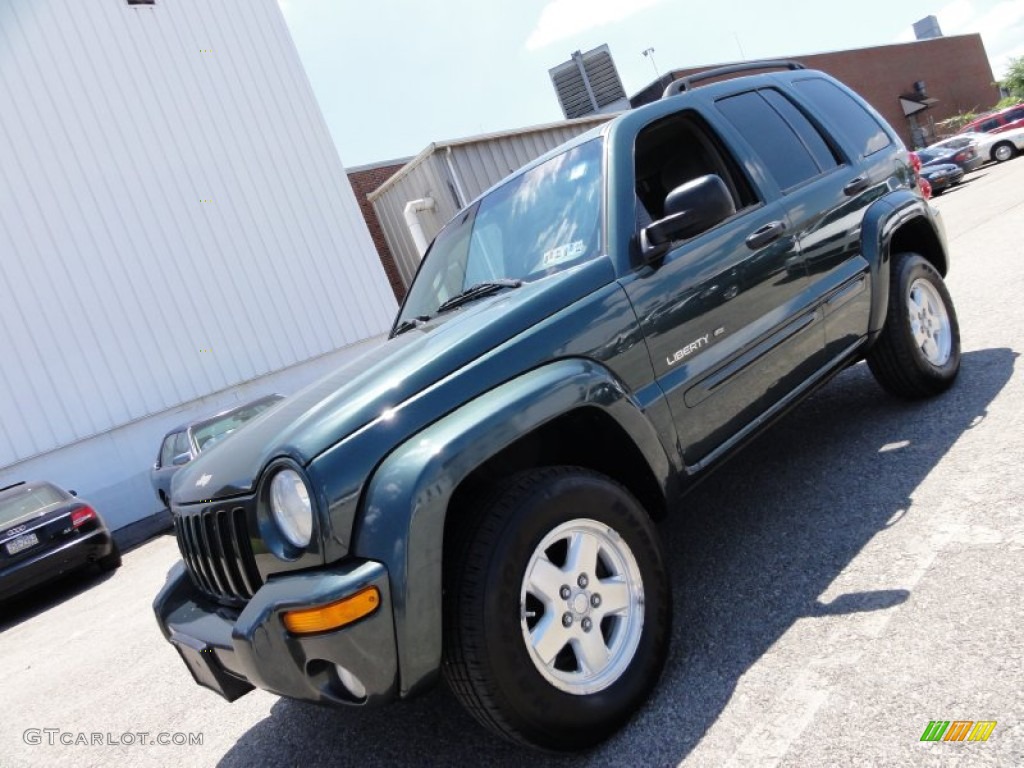 2002 Liberty Limited 4x4 - Shale Green Metallic / Taupe photo #2