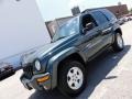 2002 Shale Green Metallic Jeep Liberty Limited 4x4  photo #2