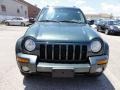 2002 Shale Green Metallic Jeep Liberty Limited 4x4  photo #3