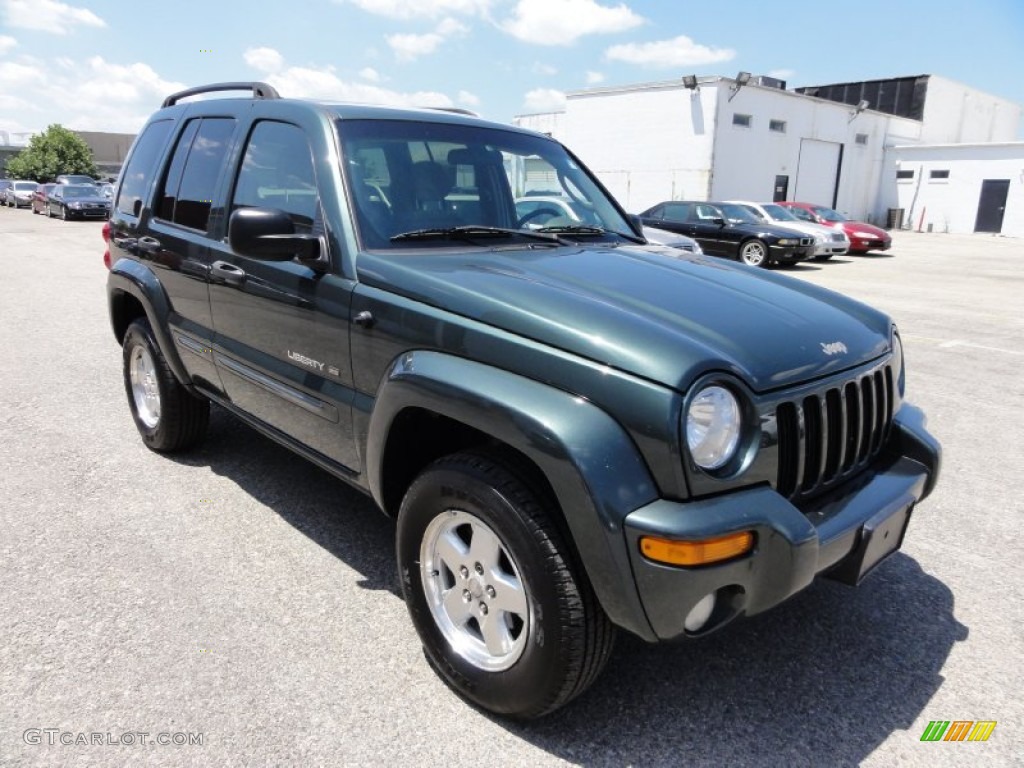 2002 Liberty Limited 4x4 - Shale Green Metallic / Taupe photo #4