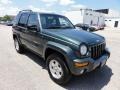 2002 Shale Green Metallic Jeep Liberty Limited 4x4  photo #4