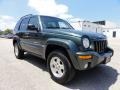 2002 Shale Green Metallic Jeep Liberty Limited 4x4  photo #5
