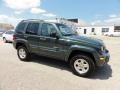 2002 Shale Green Metallic Jeep Liberty Limited 4x4  photo #6