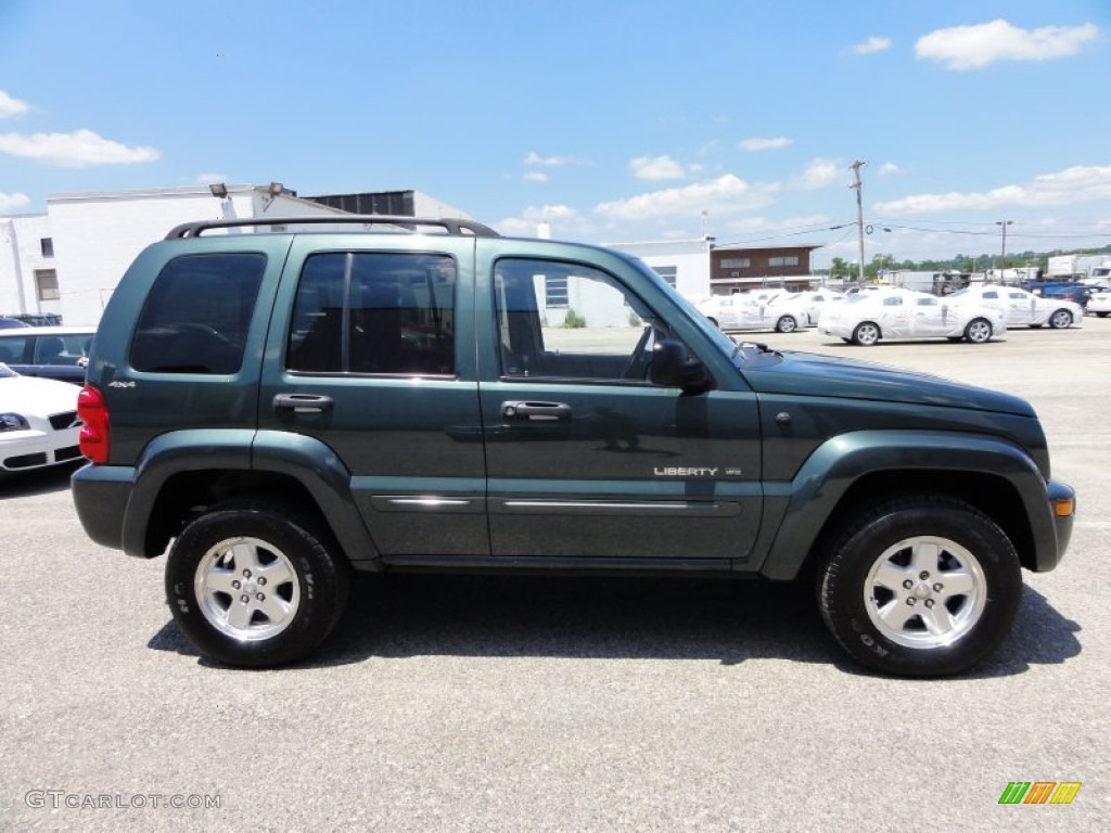 2002 Liberty Limited 4x4 - Shale Green Metallic / Taupe photo #7
