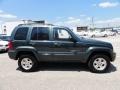 2002 Shale Green Metallic Jeep Liberty Limited 4x4  photo #7