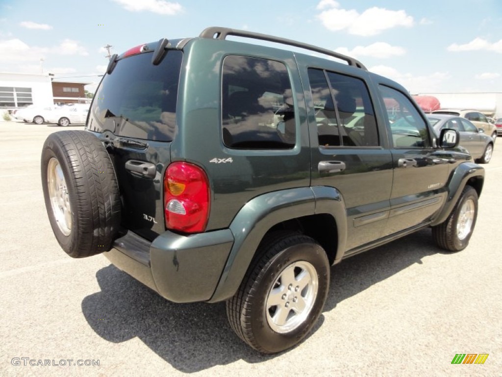 2002 Liberty Limited 4x4 - Shale Green Metallic / Taupe photo #8