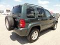 2002 Shale Green Metallic Jeep Liberty Limited 4x4  photo #8
