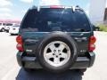 2002 Shale Green Metallic Jeep Liberty Limited 4x4  photo #9