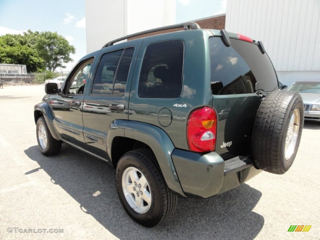 2002 Liberty Limited 4x4 - Shale Green Metallic / Taupe photo #10