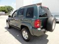 2002 Shale Green Metallic Jeep Liberty Limited 4x4  photo #10