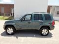 2002 Shale Green Metallic Jeep Liberty Limited 4x4  photo #11