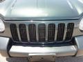 2002 Shale Green Metallic Jeep Liberty Limited 4x4  photo #37