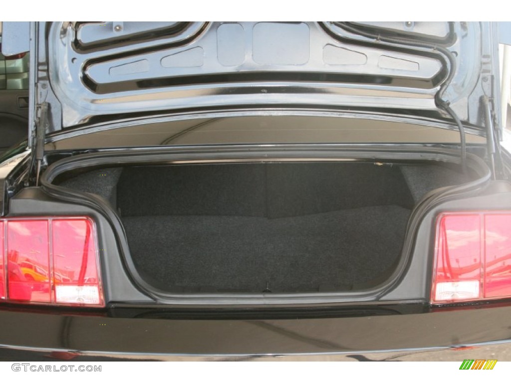 2007 Mustang V6 Deluxe Coupe - Black / Dark Charcoal photo #21