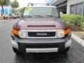 Black Cherry Pearl - FJ Cruiser  Photo No. 8