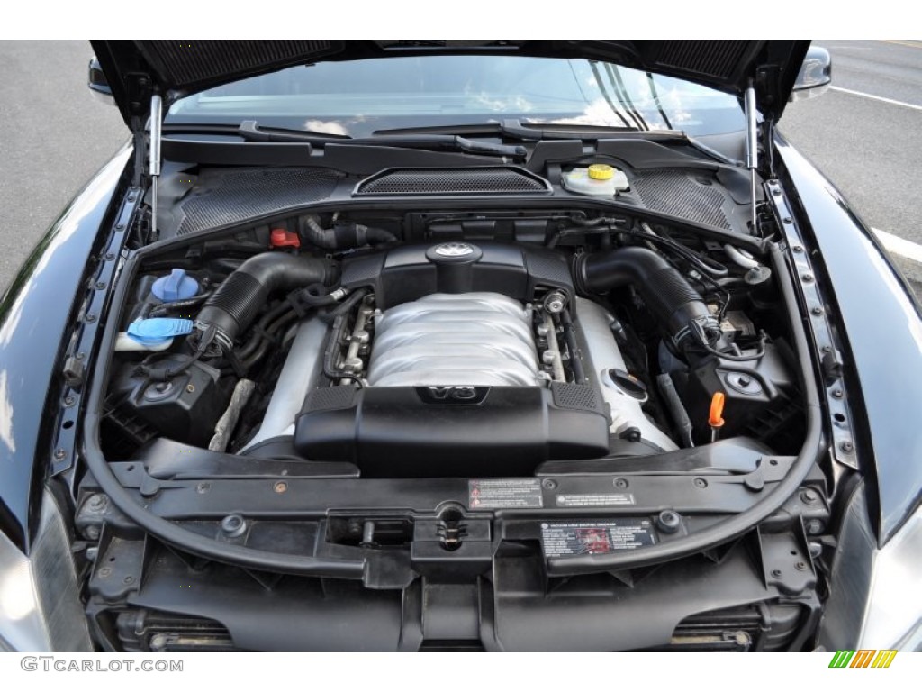 2004 Volkswagen Phaeton V8 4Motion Sedan 4.2 Liter DOHC 40-Valve V8 Engine Photo #51158732