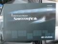 Radiant Silver - Santa Fe GLS 4WD Photo No. 35