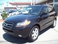 Ebony Black - Santa Fe Limited 4WD Photo No. 1