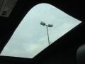 Light Platinum - DTS Sedan Photo No. 12