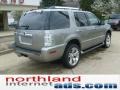 Vapor Silver Metallic - Mountaineer Premier AWD Photo No. 7