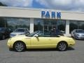 Inspiration Yellow - Thunderbird Premium Roadster Photo No. 14