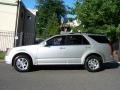 Light Platinum - SRX 4 V6 AWD Photo No. 3