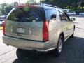 Light Platinum - SRX 4 V6 AWD Photo No. 6