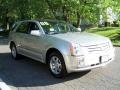 Light Platinum - SRX 4 V6 AWD Photo No. 7