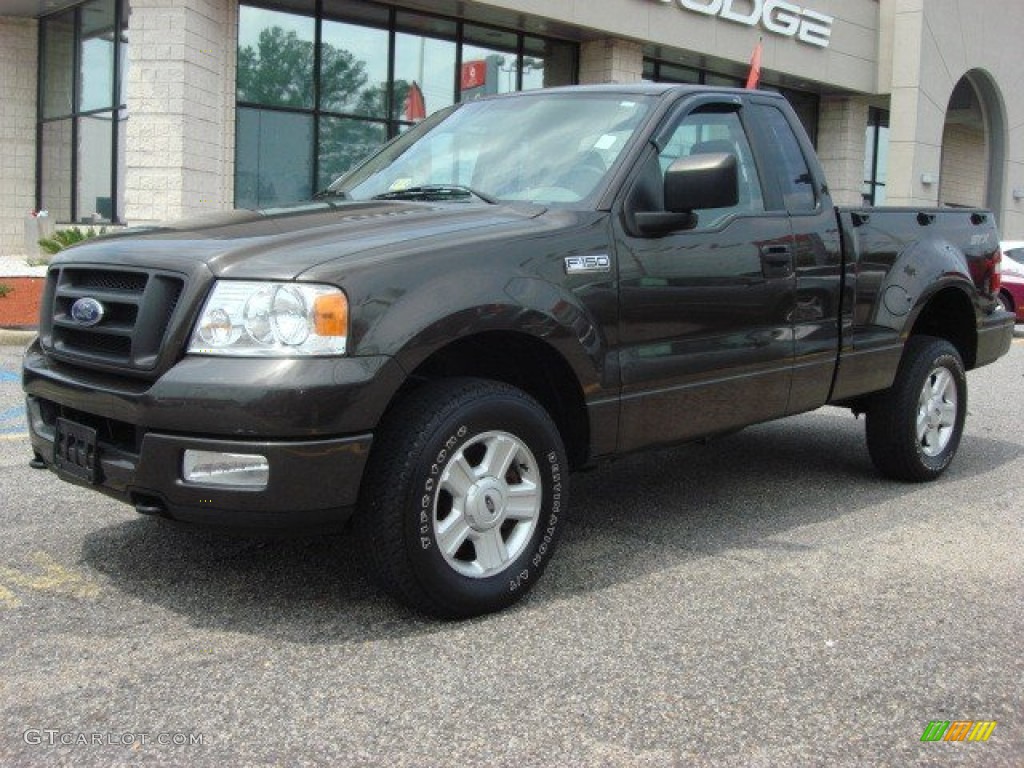 Dark Stone Metallic 2005 Ford F150 STX Regular Cab 4x4 Exterior Photo #51168386