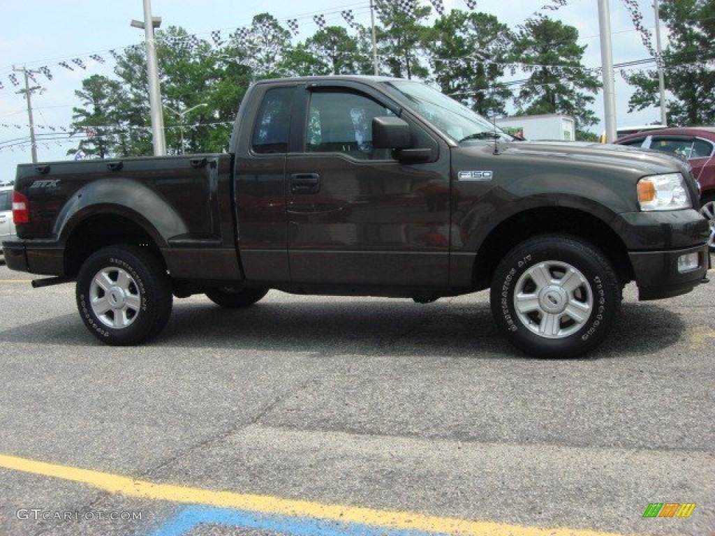 2005 F150 STX Regular Cab 4x4 - Dark Stone Metallic / Medium Flint Grey photo #6