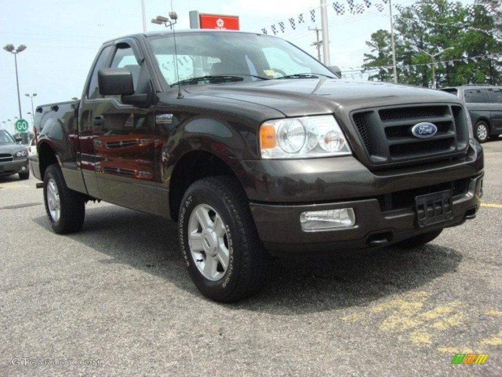 2005 F150 STX Regular Cab 4x4 - Dark Stone Metallic / Medium Flint Grey photo #7