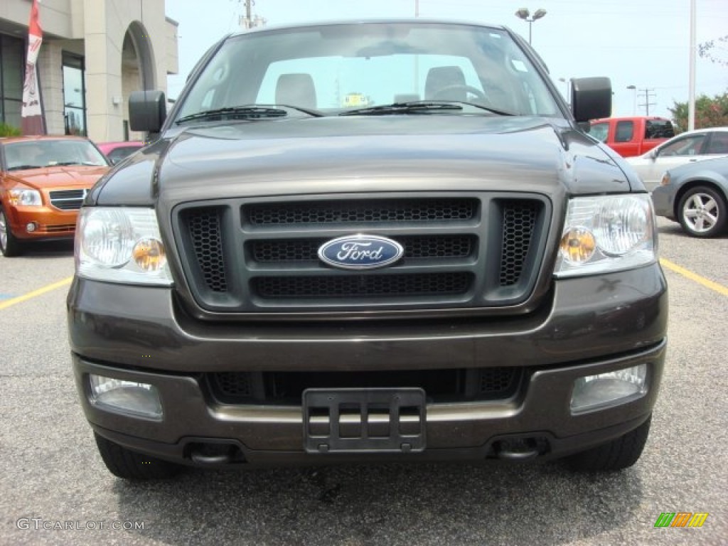 2005 F150 STX Regular Cab 4x4 - Dark Stone Metallic / Medium Flint Grey photo #8