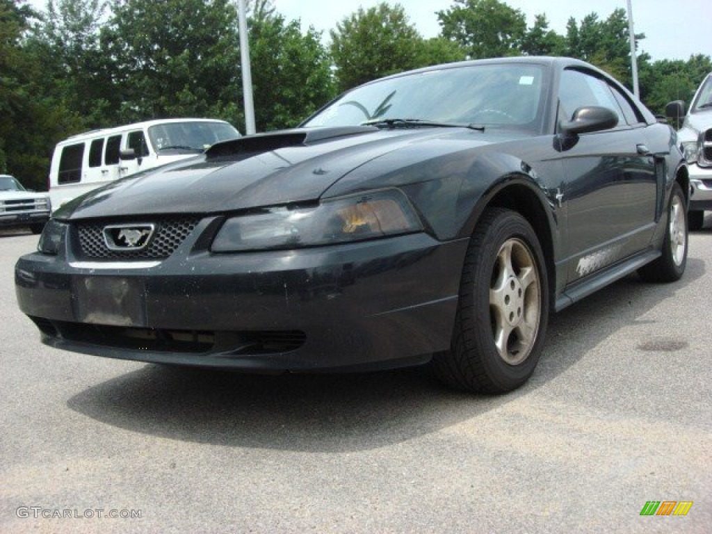 2003 Mustang V6 Coupe - Black / Dark Charcoal photo #1