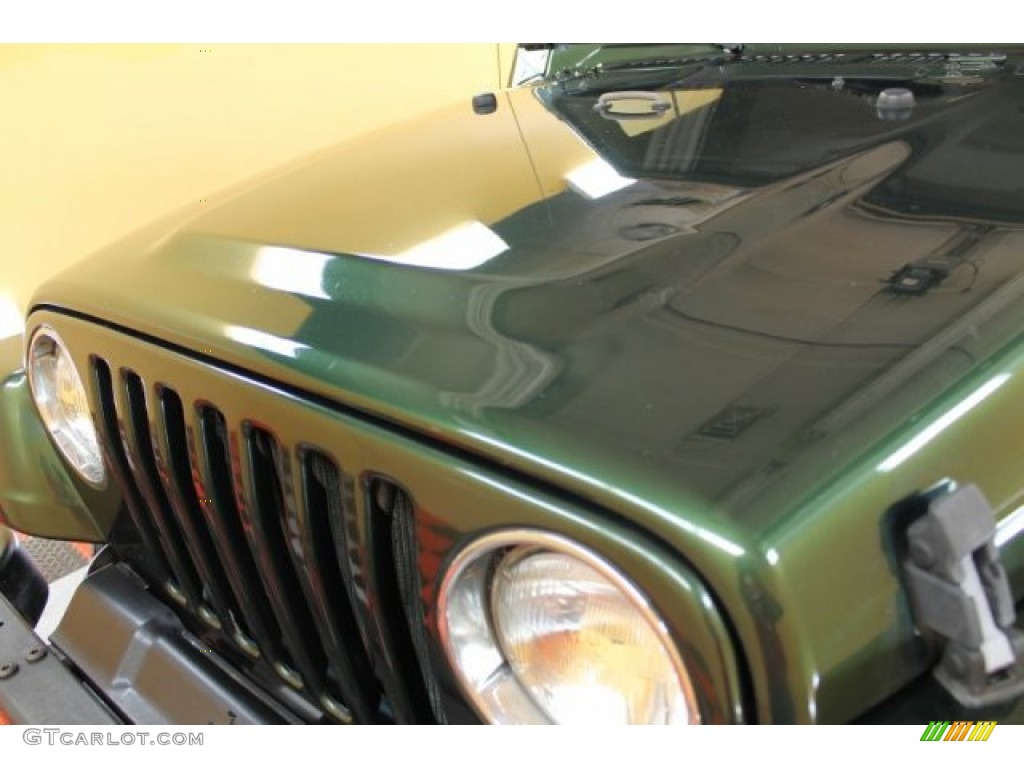 1997 Wrangler SE 4x4 - Moss Green Pearl / Tan photo #16