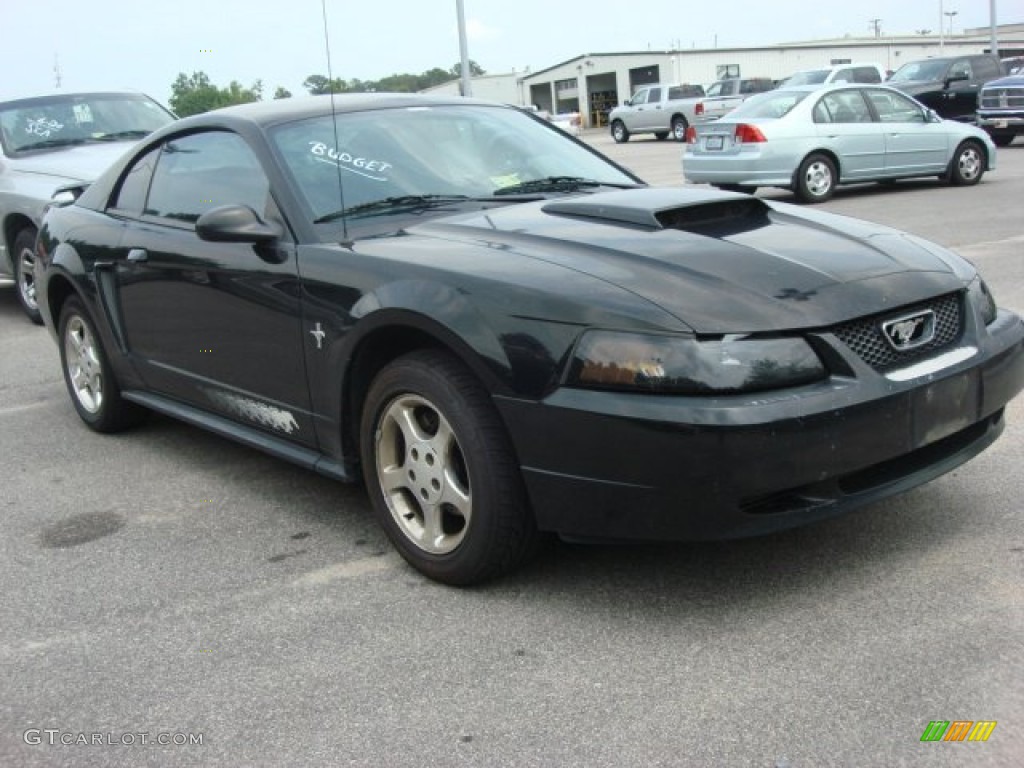 2003 Mustang V6 Coupe - Black / Dark Charcoal photo #7