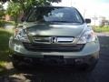 2007 Green Tea Metallic Honda CR-V EX 4WD  photo #5