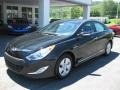Black Onyx Pearl - Sonata Hybrid Photo No. 2
