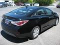 Black Onyx Pearl - Sonata Hybrid Photo No. 6