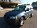 2006 Norsea Blue Metallic Ford Escape XLS  photo #8