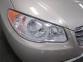 Laguna Sand Metallic - Elantra GLS Sedan Photo No. 6