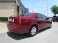 Infrared - CTS Sedan Photo No. 6