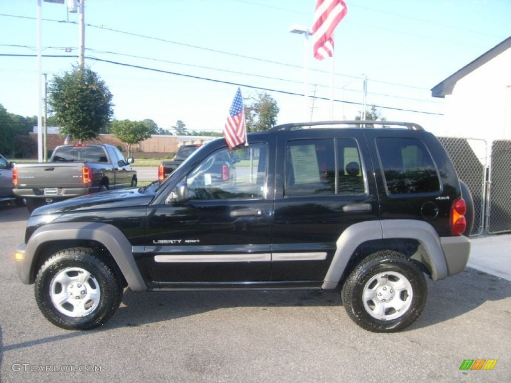 2002 Liberty Sport 4x4 - Black / Dark Slate Gray photo #2