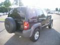 2002 Black Jeep Liberty Sport 4x4  photo #5